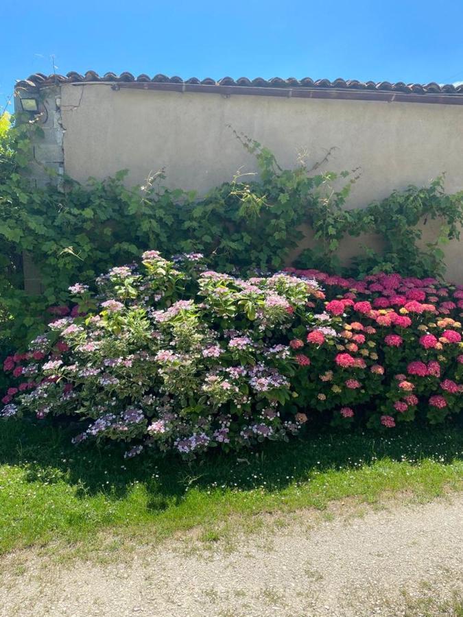 No5 Chambre D'Hotes Courcome 外观 照片