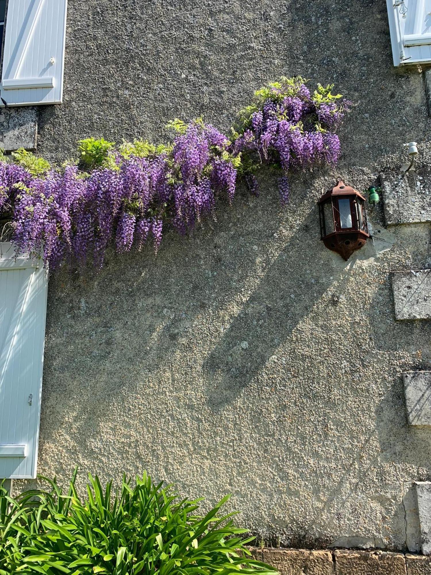 No5 Chambre D'Hotes Courcome 外观 照片